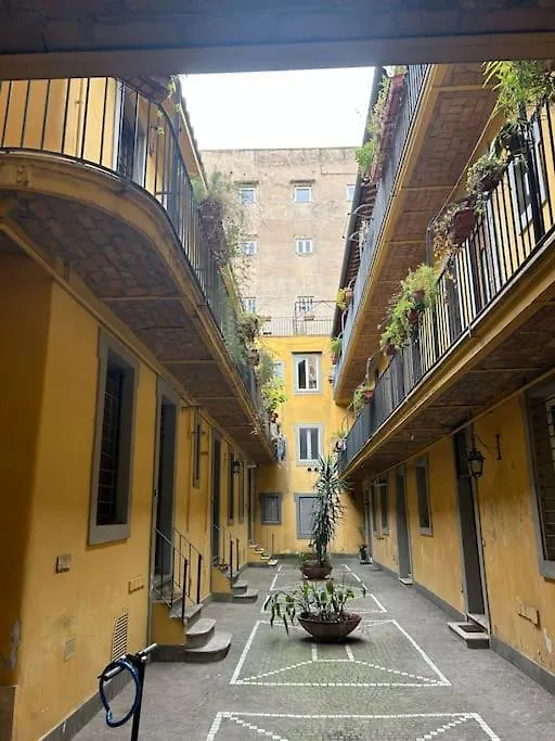 Domus Romano Campo De Fiori 0*, Rome Italy